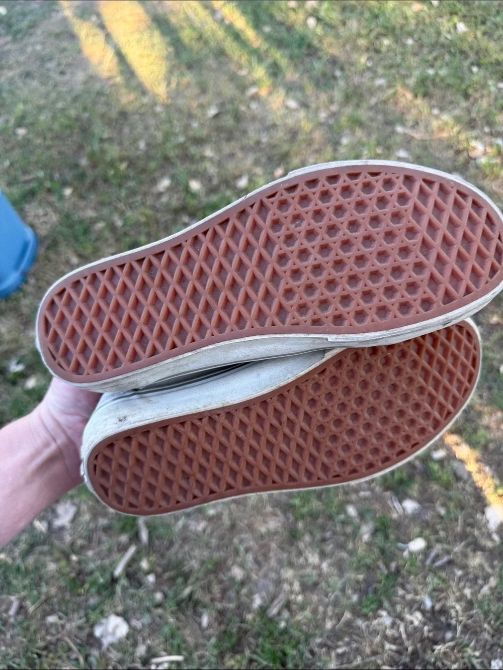 Vans sneakers